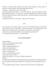 Scenarijus: "Žiurkėno Vido istorijos" 17 puslapis