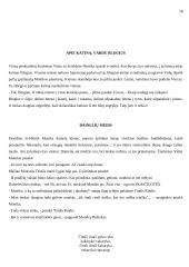 Scenarijus: "Žiurkėno Vido istorijos" 18 puslapis