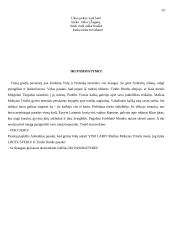 Scenarijus: "Žiurkėno Vido istorijos" 19 puslapis