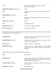 Scenarijus: "Žiurkėno Vido istorijos" 6 puslapis