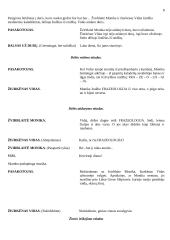 Scenarijus: "Žiurkėno Vido istorijos" 8 puslapis