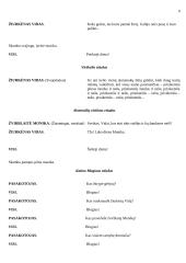 Scenarijus: "Žiurkėno Vido istorijos" 9 puslapis