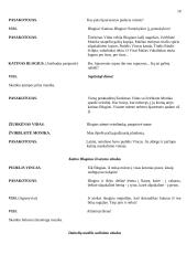 Scenarijus: "Žiurkėno Vido istorijos" 10 puslapis