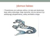 Graikų dievas-Poseidonas 7 puslapis