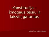 Konstitucija – žmogaus teisių ir laisvių garantas