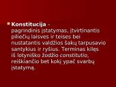 Konstitucija – žmogaus teisių ir laisvių garantas 2 puslapis