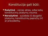 Konstitucija – žmogaus teisių ir laisvių garantas 4 puslapis