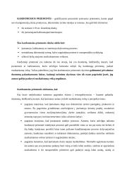 Procesinės prievartos priemonės 2 puslapis