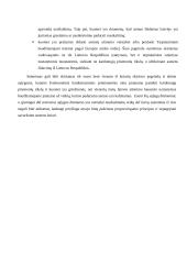 Procesinės prievartos priemonės 3 puslapis