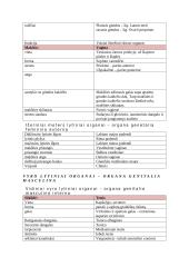 Lytinių organų sistema 2 puslapis