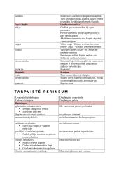 Lytinių organų sistema 4 puslapis