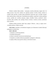 Pažintinė praktika: "Vaikų su negale centras" 2 puslapis