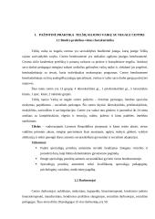 Pažintinė praktika: "Vaikų su negale centras" 3 puslapis