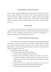 Pažintinė praktika: "Vaikų su negale centras" 4 puslapis