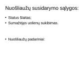 Paviršių keičiantys dabarties geologiniai procesai 13 puslapis