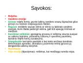 Paviršių keičiantys dabarties geologiniai procesai 3 puslapis