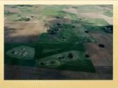 Paviršių keičiantys dabarties geologiniai procesai 10 puslapis