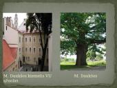 Mikalojus Daukša. Jo kūryba ir veikla 16 puslapis