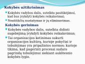 Kokybės samprata ir kokybės rodikliai  11 puslapis