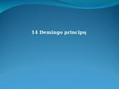 Kokybės samprata ir kokybės rodikliai  17 puslapis