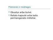 Difuzijos reiškinys kietuose kūnuose, skysčiuose ir dujinėse medžiagose 10 puslapis