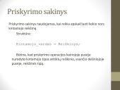 Kintamieji. Priskyrimo sakinys 7 puslapis