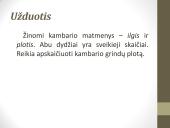 Kintamieji. Priskyrimo sakinys 9 puslapis