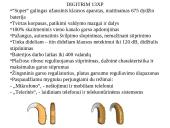 Informacinės komunikacinės technologijos kurtiesiems pagelbėti 9 puslapis