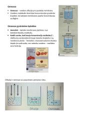 Difuzija ir osmosas 2 puslapis