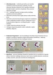 Difuzija ir osmosas 3 puslapis