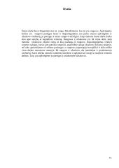 Civilinės teisės kontrolinis darbas. Ranga 16 puslapis