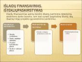 Išlaidų valdymas 14 puslapis