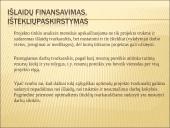 Išlaidų valdymas 17 puslapis