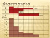 Išlaidų valdymas 19 puslapis