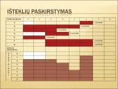 Išlaidų valdymas 20 puslapis