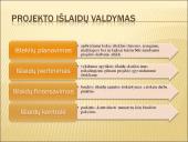 Išlaidų valdymas 3 puslapis