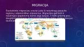 Globalinės problemos - demografija, migrantai, ekologija 5 puslapis