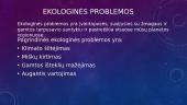 Globalinės problemos - demografija, migrantai, ekologija 6 puslapis
