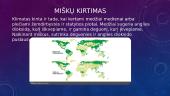 Globalinės problemos - demografija, migrantai, ekologija 8 puslapis