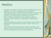 Lietuvių kalbos įdomybės 11 puslapis