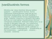 Lietuvių kalbos įdomybės 12 puslapis
