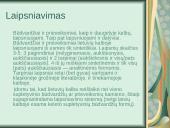 Lietuvių kalbos įdomybės 13 puslapis