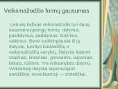 Lietuvių kalbos įdomybės 14 puslapis