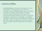 Lietuvių kalbos įdomybės 3 puslapis