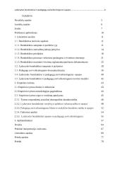 Lyderystės bendrakūrai ir pedagogų  saviveiksmingumo sąsajos 4 puslapis