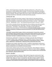 Skirgaila konspektas 4 puslapis