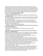 Skirgaila konspektas 7 puslapis