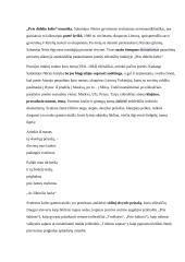 Literatūros programinių autorių konspektai 16 puslapis