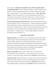 Literatūros programinių autorių konspektai 20 puslapis