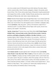 Literatūros programinių autorių konspektai 8 puslapis